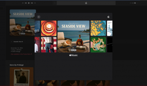 Seasideview_blk copy